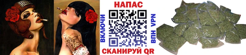 Конопля MAZAR Рошаль